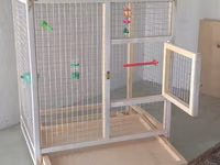 Papuqay,dovşan,hamster,şinşila,bildirçin,cücə,xamyak,pişik,quş,tısbağa — الصورة 3