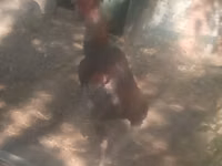مالاي غيم — الصورة 1