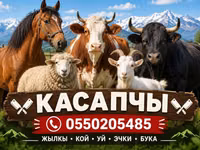 Услуги мясника/касатчы для забоя и разделки скота на выезде. Работаем — foto 2