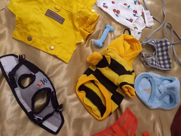 It üçün geyim +povodoklar. 3 povodok +geyimlər. Hamısı bir uerdə. 15