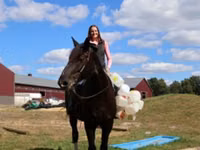 Cal, Percheron — foto 6