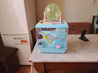 Akvarium balıqları ilə barter olunur.Uzunluğu 27,Eni 28, Hündürlüyü — сүрөт 2