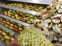 Дегидратор профессиональный для сушки фруктов, овощей, мяса — фото 2