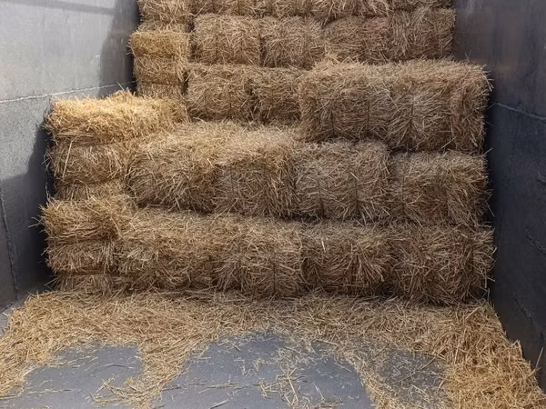 Fîn și paie