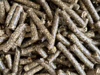 Vindem lucernă granulata — foto 2