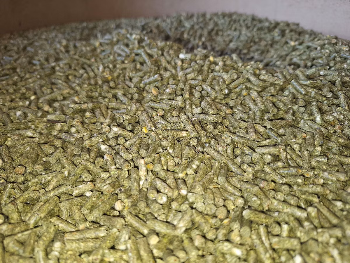 Granule7,50lei, pentru iepuri calitate superioară, Orhei