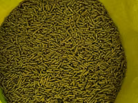 Vindem mincare pentru sinsila granule de 2.5mm produs in Ungaria 16lei(chinchila,sinsila,шиншила) — Foto 2