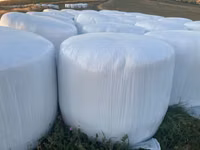 Se vinde fânaj (sinaj) de orz si fânaj de lucernă, Angro și la bucată. — foto 2