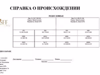 Баран, Лакон овца — фото 5
