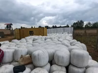 Full Corn Silage — photo 2