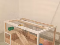 Hamster/kiçik gəmirici üçün geniş taxta — foto 2