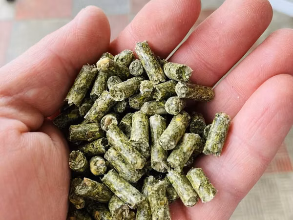 Granule pentru iepuri