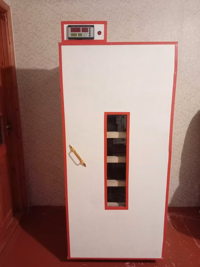 İnkubator 1000 yumurtalıq zakasla yigilir tam afdamat isdeyeyir unvan