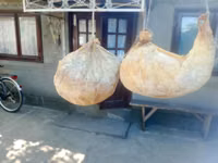 Cheaguri — الصورة 1