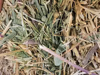 Baloti Sparceta — foto 2