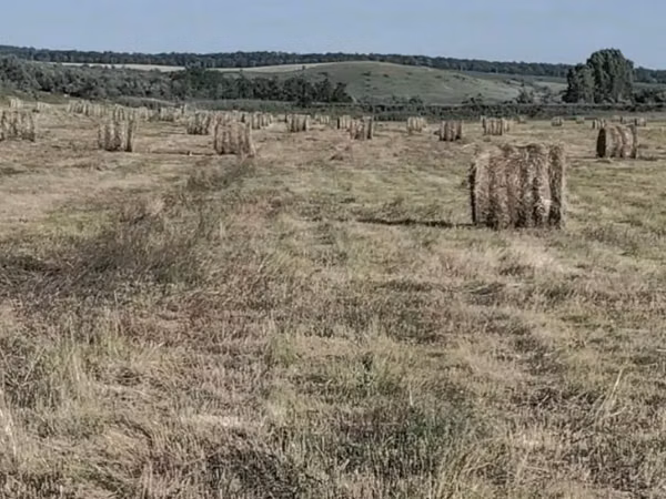 Продаю круглые тюки