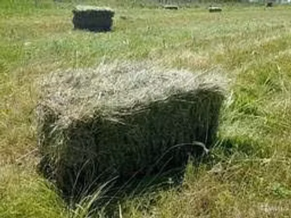 Продам сено солому в тюках