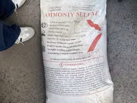 Mineral o’g’itlar kaliy sulfat Ammony — Foto 5