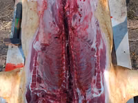 Vind carne de porc de casa crescut cu resturi de la gradinite — 1-rasm