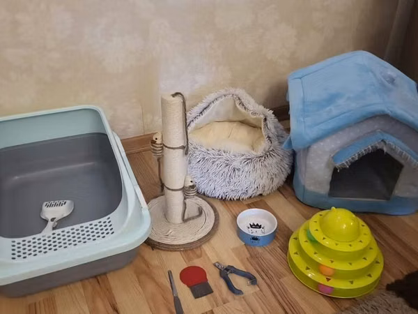 Pişik üçün tam aksesuar dəsti Tərkibi: - Qum tualeti – çıxarıla bilən