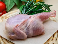 Carnita de prepelita — foto 1