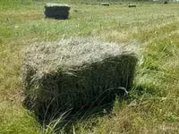 Продам сено солому в тюках — foto 1