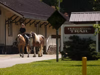 Cal, Quarter Horse — foto 3