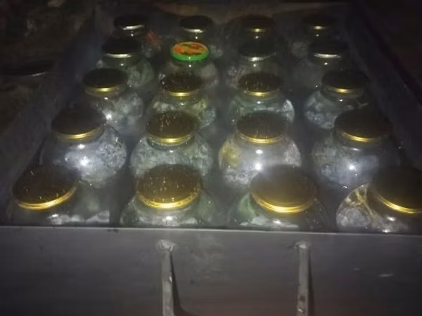 Ванна для банок