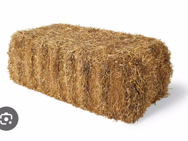 Vînd baloți de paie, lucernă