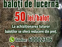 Se vind baloți de lucerna 50 lei bucata — foto 3