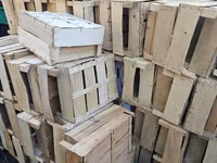 Lăzi pentru căpșune, zmeură și pomusoare. — foto 1