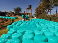 Full Corn Silage — photo 1