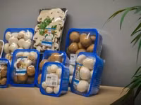 Упаковка для ягод и грибов. Ambalaje pentru legume, fructe, și ciuperci. — foto 1