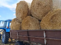 Продам круглые тюки соломы — сүрөт 1