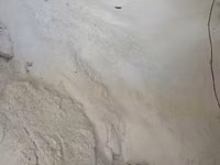Кальций для животных и птиц. — foto 1