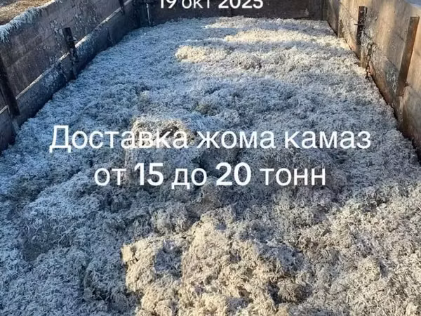 Доставка жома КАМАЗом - Объем партии: от 15 до 20 тонн за рейс - Тип