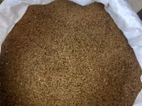 5 illik yoncadan saxlanılmış vimden keçirilmiş yonca toxumu. 4 manat — Foto 1