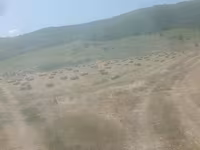 Baloți de earba — 2-rasm
