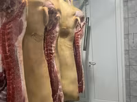 Propunem spre vânzare carne de porc proaspătă și deosebit de delicioasă. — 5-rasm