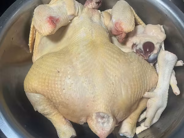 Vind gaini broiler