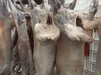 Баранина -600 р/кг на красноярске — фото 5