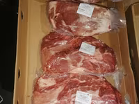 Scroafă, Porci — foto 4