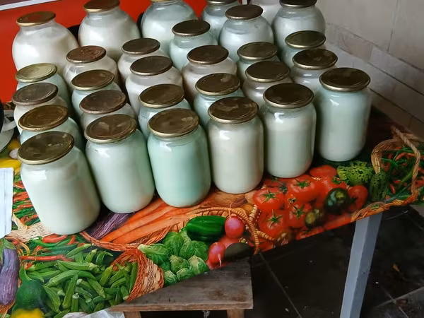 Продам свиной жир