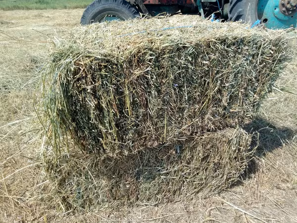 Люцерна плюс сено луговое
