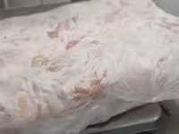 Котлетное мясо свинины (тримминг) — الصورة 3