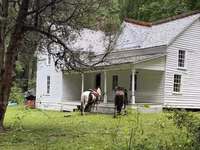 At, Appaloosa — foto 3