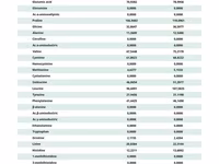 Concentrat proteic(inlocuitor faina de peste) белковый концентрат — Foto 2