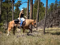 Aygʻir, Gypsy horse — 8-rasm