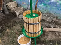 Producție specializată pentru recoltarea și producere a strugurilor ! — foto 3