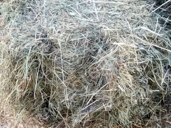 Сено,солома втюках